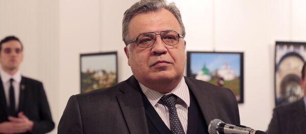 Посол России в Турции Андрей Карлов в галерею в Анкаре - Sputnik Moldova