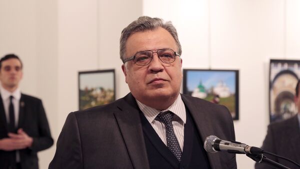Посол России в Турции Андрей Карлов в галерею в Анкаре - Sputnik Молдова
