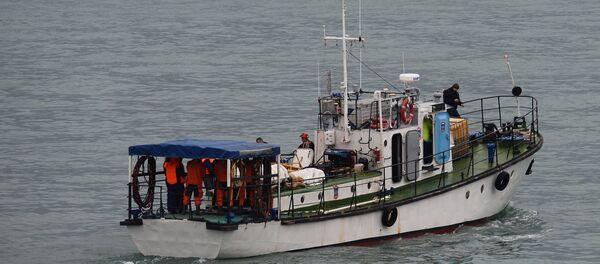 Поисково-спасательные работы на месте крушения самолёта Ту-154 Минобороны РФ в Сочи - Sputnik Moldova