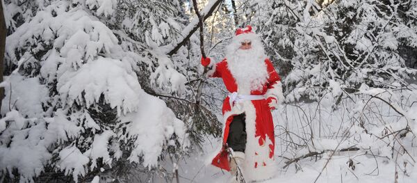 Дед Мороз в зимнем лесу - Sputnik Молдова