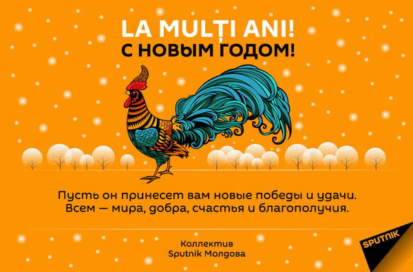C Новым Годом 2017! C Новым Годом 2017! - Sputnik Молдова