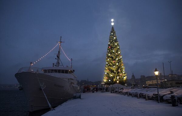 Огни большой рождественской елки Стокгольма включены в первый раз во время Адвента. - Sputnik Молдова
