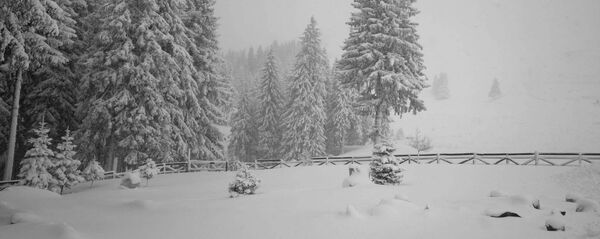 Parcul Natural Bucegi - Sputnik Молдова