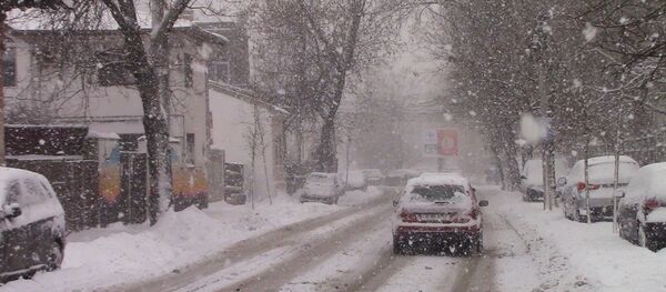 Viscol în România - Sputnik Moldova-România