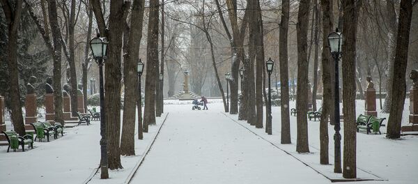 Зима - Sputnik Moldova