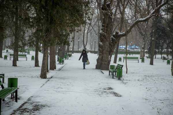 Зима  - Sputnik Молдова