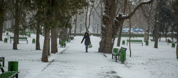 Зима - Sputnik Молдова