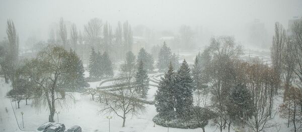 Зима - Sputnik Молдова