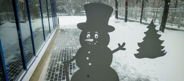 снеговик - Sputnik Moldova