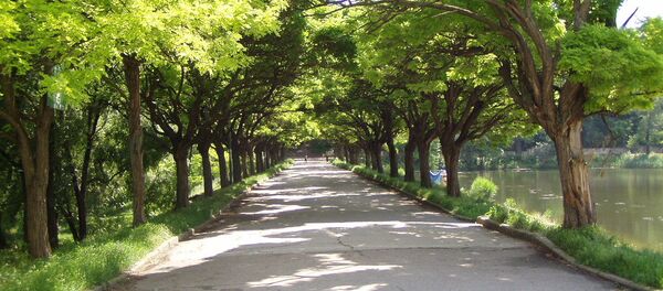 Aleea din Parcul Valea Trandafirilor - Sputnik Moldova