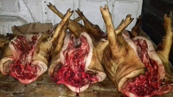 Carne de porc fără acte de proveniență - Sputnik Moldova