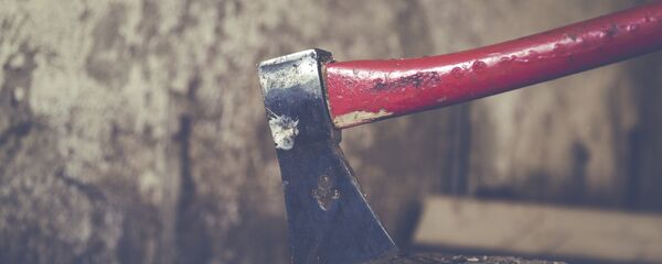 Topor - Sputnik Moldova