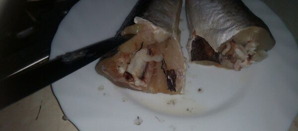 Pește congelat - Sputnik Moldova