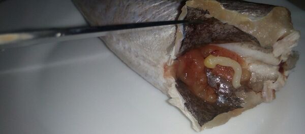 Pește congelat  - Sputnik Moldova