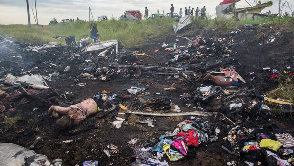 At the crash site of the Malaysian Boeing in Eastern Ukraine - Sputnik Moldova-România