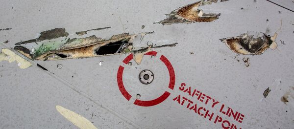 Crash site of Malaysia Airlines flight MH17 near Shaktyorsk Crash site of Malaysia Airlines flight MH17 near Shaktyorsk - Sputnik Молдова