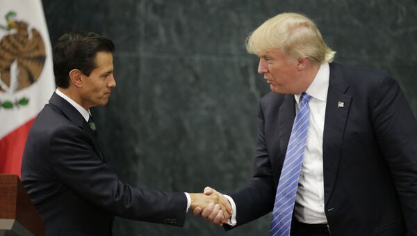 Republican presidential nominee Donald Trump and Mexico's President Enrique Pena Nieto shake hands at a press conference at the Los Pinos residence in Mexico City. - Sputnik Moldova-România