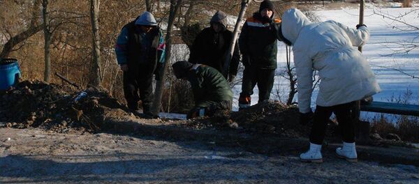 Высадка деревьев в парке Долина Роз в Кишиневе в 10-ти градусный мороз - Sputnik Молдова