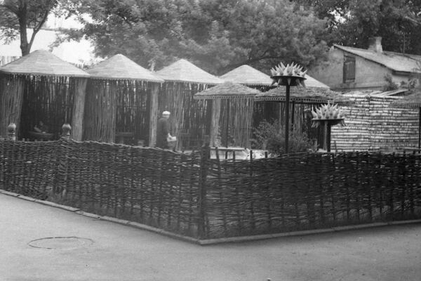 Кафе Фулгушор 1978 г, архивное фото - Sputnik Молдова