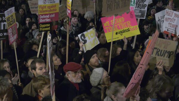Протесты в Лондоне против миграционного указа Трампа - Sputnik Молдова