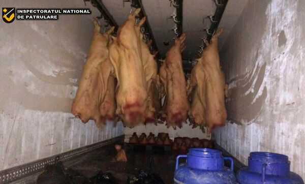 Transport ilegal de carne Transport ilegal de carne - Sputnik Moldova