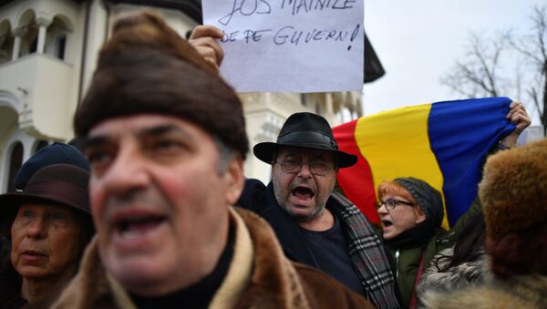 Demonstranți pro-guvernamentali - Sputnik Moldova-România