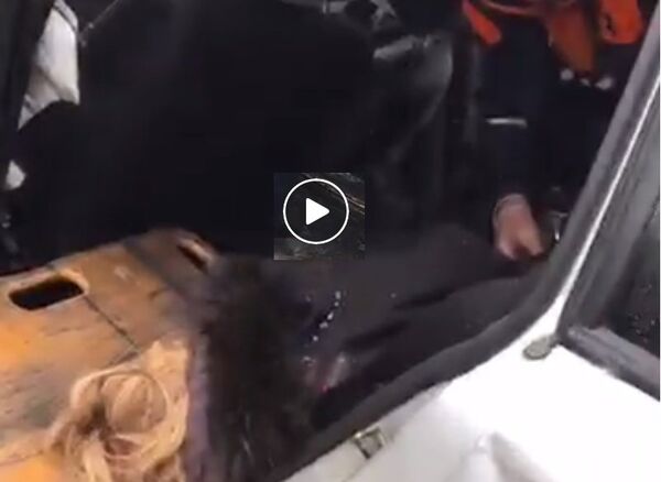 Видео ДТП, в котором погибла невеста Видео ДТП, в котором погибла невеста - Sputnik Молдова