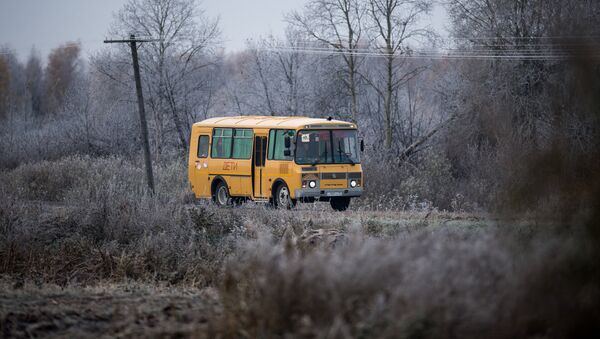 Autobuz școlar iarna - Sputnik Moldova