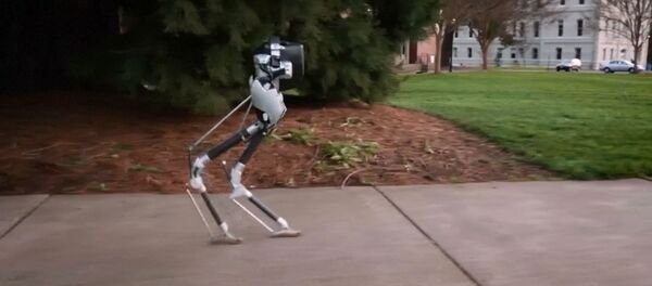 Двуногого робота, умеющего шагать, собрали в университете Орегона - Sputnik Молдова