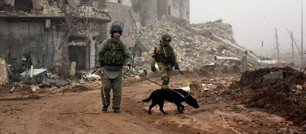 Военнослужащие во время разминирования исторической Цитадели древней крепости Алеппо Военнослужащие во время разминирования исторической Цитадели древней крепости Алеппо - Sputnik Молдова
