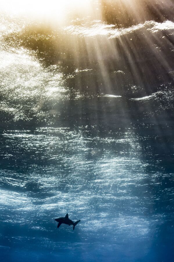 Аргентинец Орасио Мартинес, фото Океан в небе, сделанное в Египте. - Sputnik Молдова