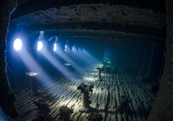 Самым многообещающим подводным фотографом назван Николай Георгиу из Великобритании. - Sputnik Молдова