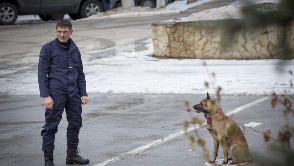 Пограничник и служебный пес. Архивное фото - Sputnik Молдова