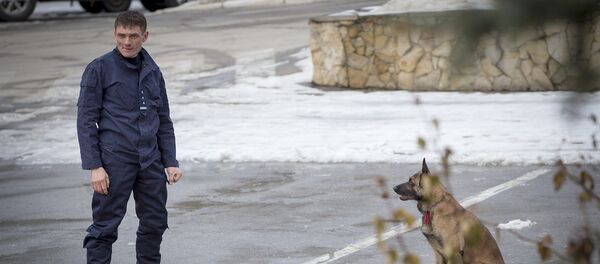Пограничник и служебный пес. Архивное фото - Sputnik Молдова
