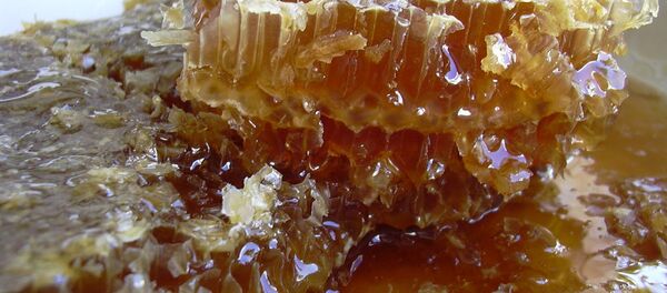 Мед в сотах Мед в сотах - Sputnik Moldova-România