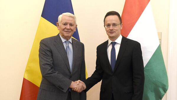 Întrevederea ministrului Teodor Meleșcanu cu omologul ungar, Péter Szijjártó - Sputnik Moldova-România