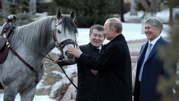 Сегодня личный фотограф президента КР Султан Досалиев выставил в соцсетях несколько снимков Путина и Атамбаева с лошадью серой масти и подписал: после переговоров… - Sputnik Moldova-România