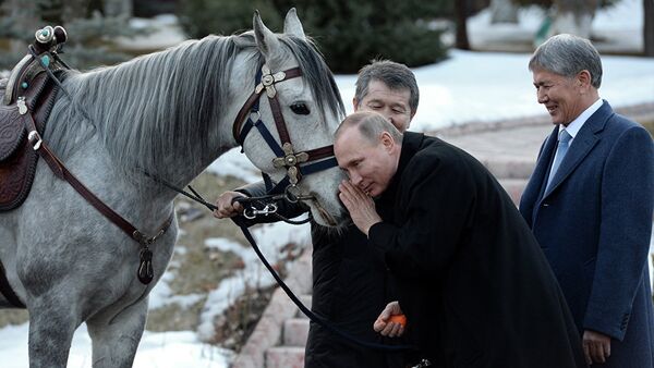 Глава России Владимир Путин получил коня в подарок от президента КР Алмазбека Атамбаева  в Государственной резиденции Ала-Арча. 28 февраля 2017 года - Sputnik Молдова