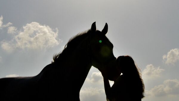 O fată sărută un cal - Sputnik Moldova