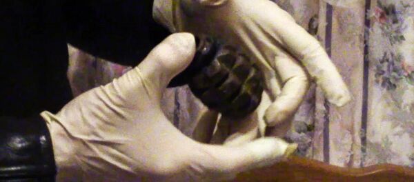 Граната Ф1, архивное фото - Sputnik Молдова