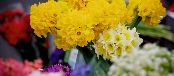 Цветочный базар Цветочный базар - Sputnik Молдова