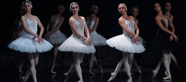 Lacul lebedelor - Sputnik Moldova-România