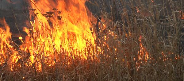 Шокирующие кадры: долина реки Бык в огне Шокирующие кадры: долина реки Бык в огне - Sputnik Молдова