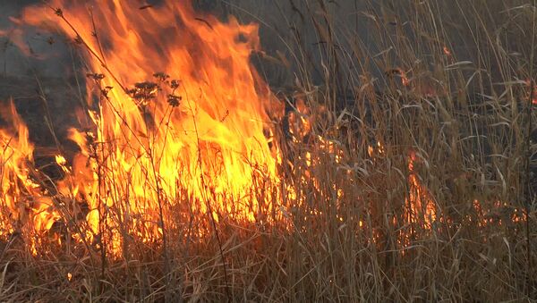 Șocant: albia râului Bâc - în flăcări - Sputnik Moldova