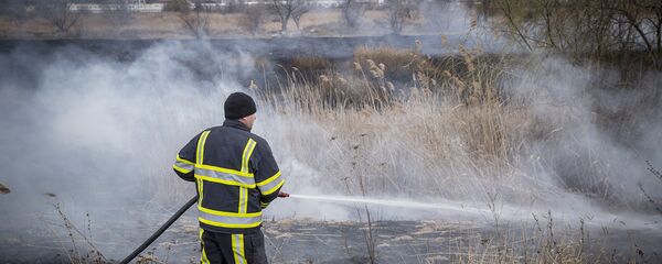 Возгорание сухой растительности Возгорание сухой растительности - Sputnik Молдова