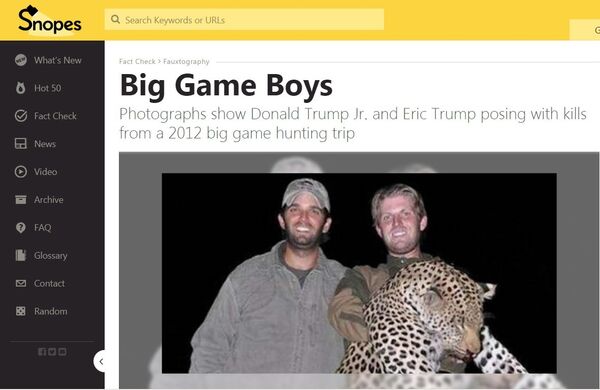 Donald Trump Jr. și Eric Trump Donald Trump Jr. și Eric Trump - Sputnik Moldova-România