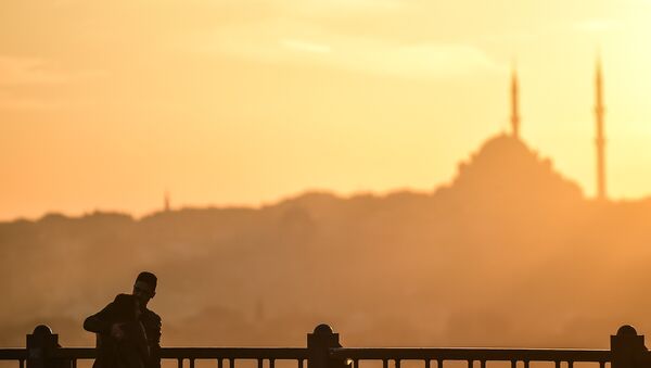 Влюбленные на Галатском мосту в Стамбуле. - Sputnik Молдова