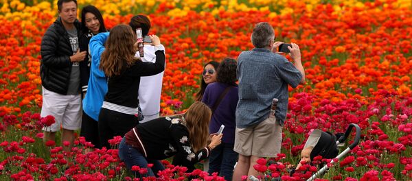 Spring Has Sprung Around the World Spring Has Sprung Around the World - Sputnik Молдова