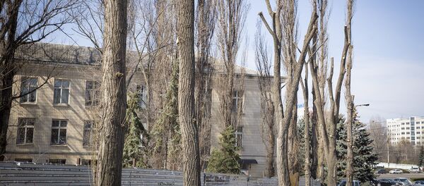 Вырубка деревьев - Sputnik Молдова