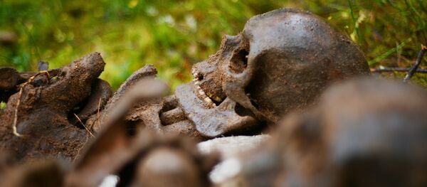 Поисковый отряд обнаружил останки солдат и боеприпасы времен ВОВ Поисковый отряд обнаружил останки солдат и боеприпасы времен ВОВ - Sputnik Молдова